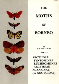 The Moths of Borneo Part 6