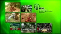IPNI 1 Oil Palm Best Management Practise - For the Public