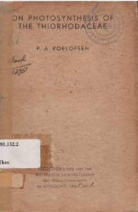 On photosynthesis of the Thiorhodaceae