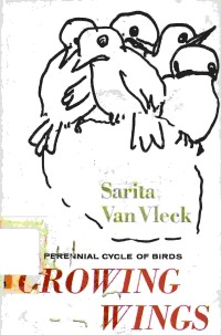 Growing wings. The perennial cycle of birds
