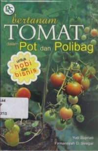 Bertanam Tomat dalam Pot dan Polibag