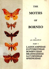 The Moths of Borneo Part 3