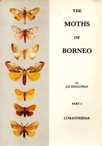 The Moths of Borneo Part 5