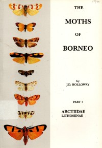 The Moths of Borneo Part 7