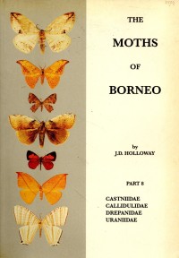 The Moths of Borneo Part 8