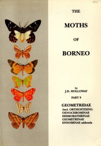 The Moths of Borneo Part 9