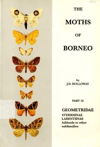 The Moths of Borneo Part 10