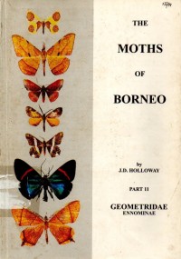 The Moths of Borneo Part 11