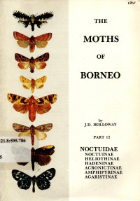 The Moths of Borneo Part 12