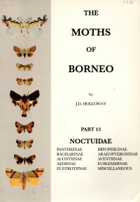 The Moths of Borneo Part 13