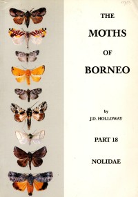 The Moths of Borneo Part 18