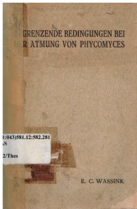 Begrenzende Bedingungen bei der Atmung von Phycomyces