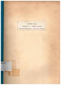 Laporan kerja kelompok II Pepunas ristek (Bidang sumberdaya alam dan energy)
