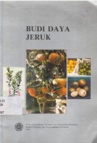 Budidaya jeruk