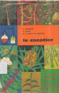 Le cocotier