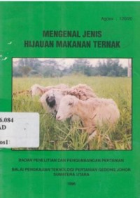 Mengenal jenis hijauan makanan ternak