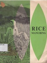 Rice manuring.