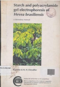 Starch and polycrylamide gel electrophoresis of hevea brasiliensis