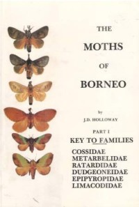 The Moths of Borneo Part I