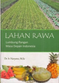 Lahan Rawa Lumbung Pangan Masa Depan Indonesia