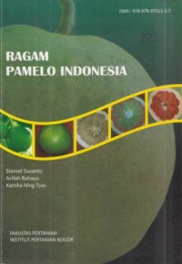 Ragam Pamelo Indonesia