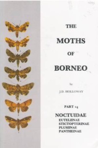 The Moths of Borneo Part 14