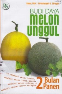 Budi Daya Melon Unggul